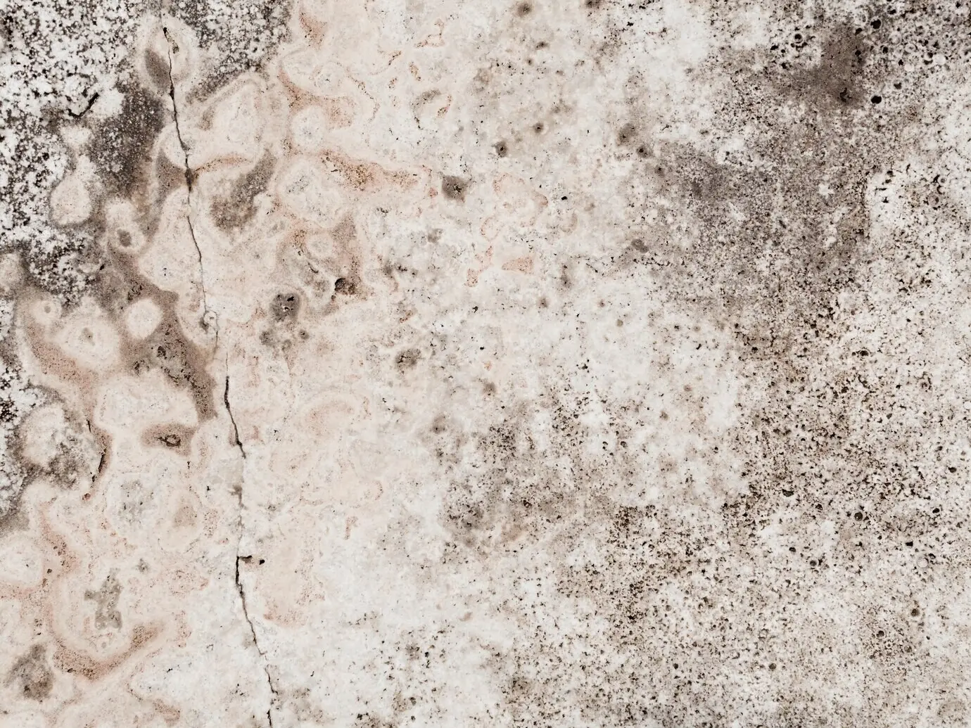 A concrete wall with a weathered, textured surface.